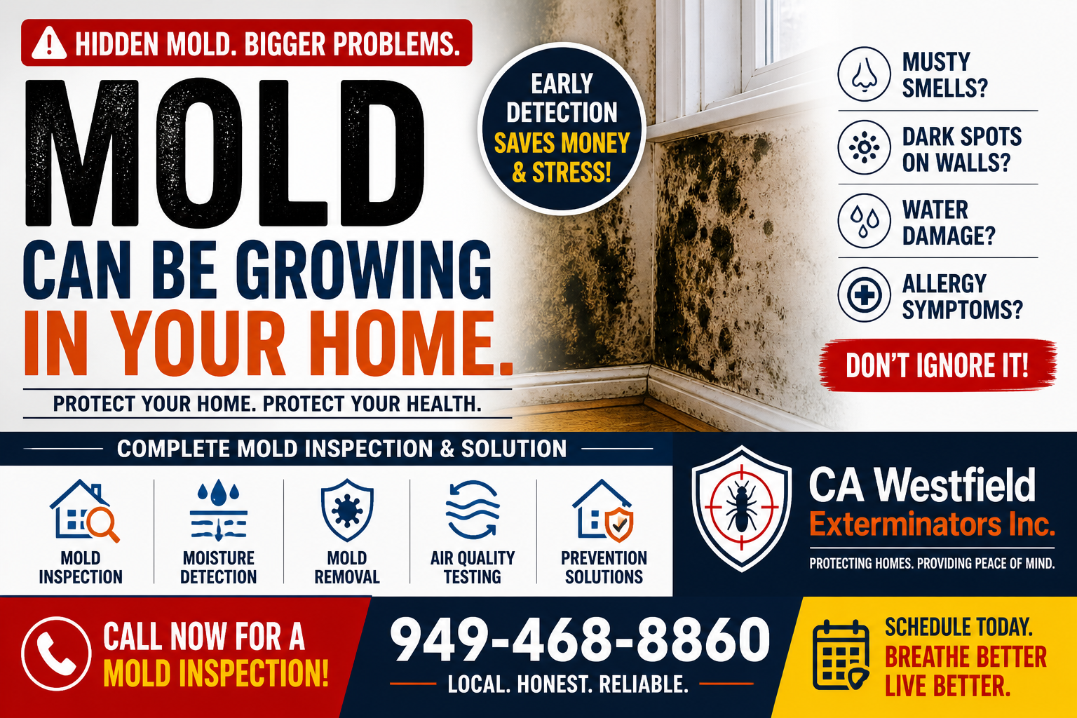 Types of Fungus & Mold in California Homes (Complete Guide: Identification, Removal & Prevention 2026)
